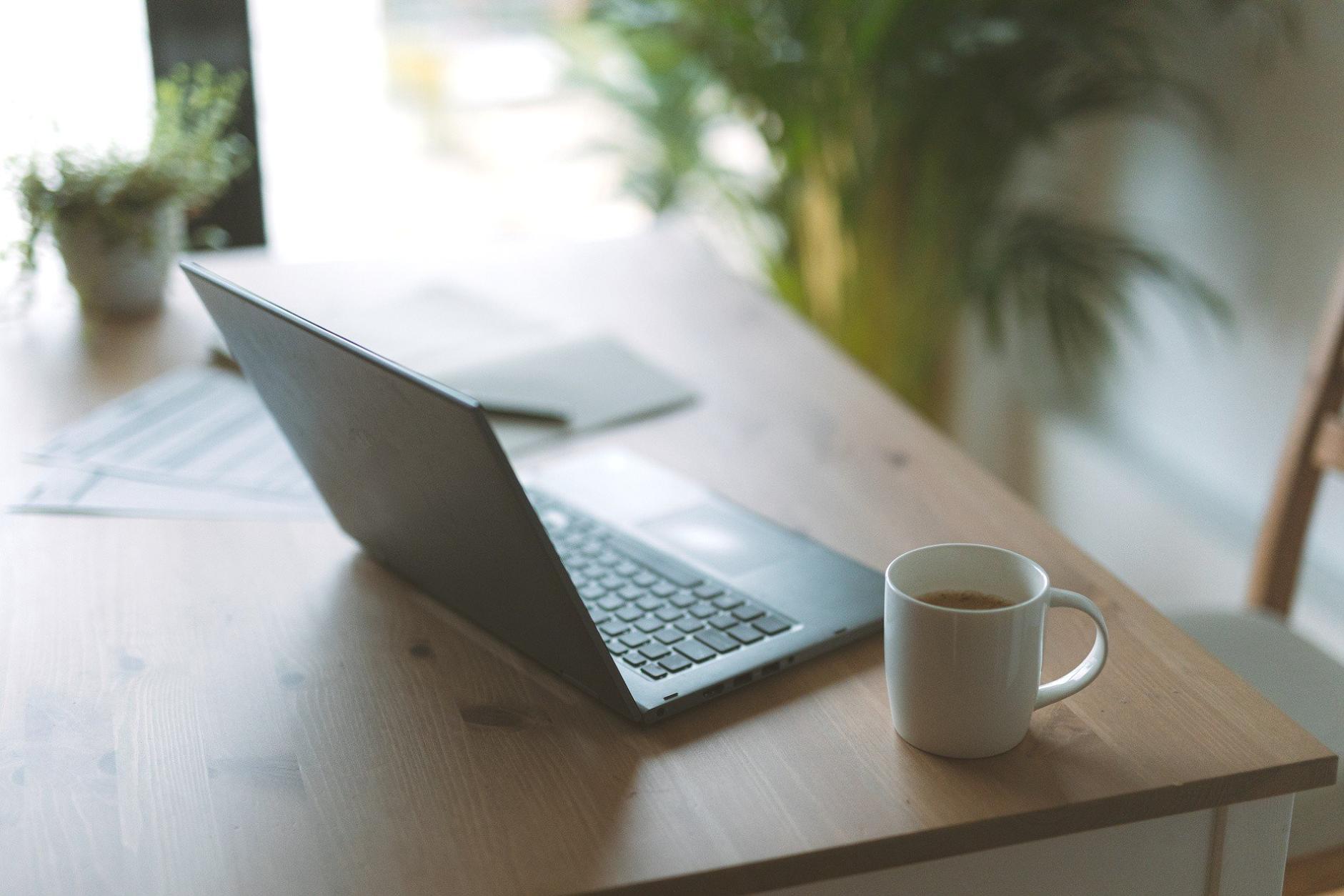 Espacio de trabajo con análisis de tráfico web